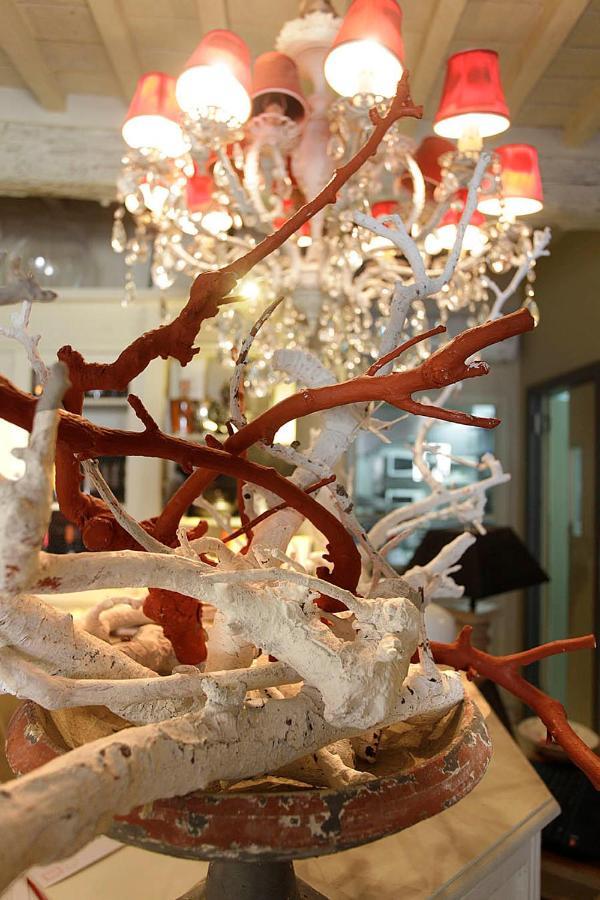 Bed and breakfast Il Canovaccio Campiglia Marittima